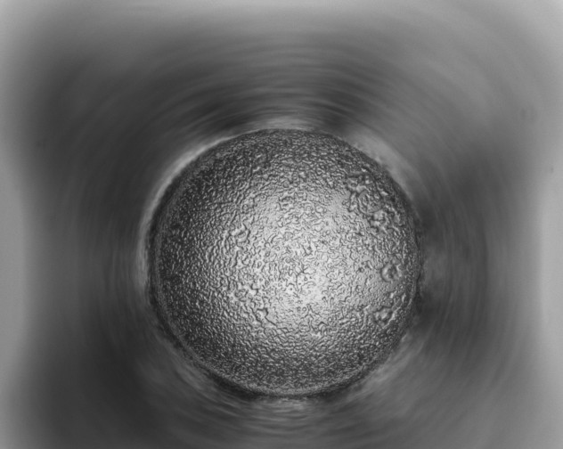 X0000093431027200710191022