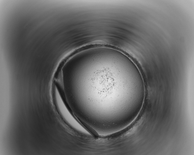 X0000093431029200710191022