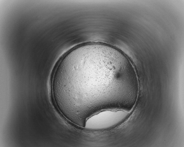 X0000093431032200710191022