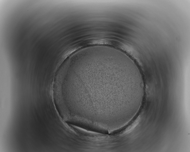 X0000093431033200710191022