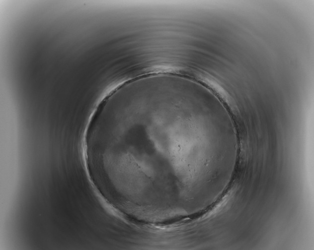 X0000093431034200710191022