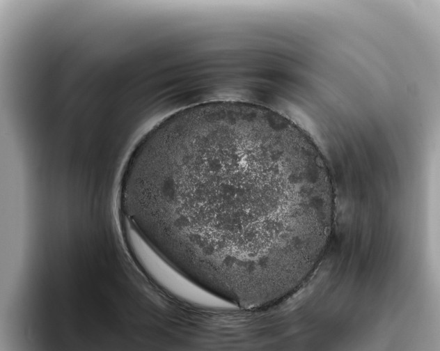 X0000093431035200710191022