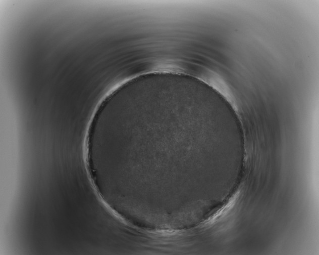 X0000093431037200710191022