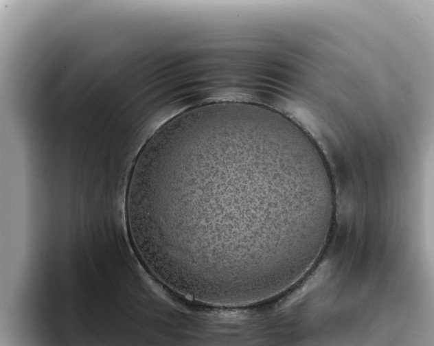 X0000093431041200710191022