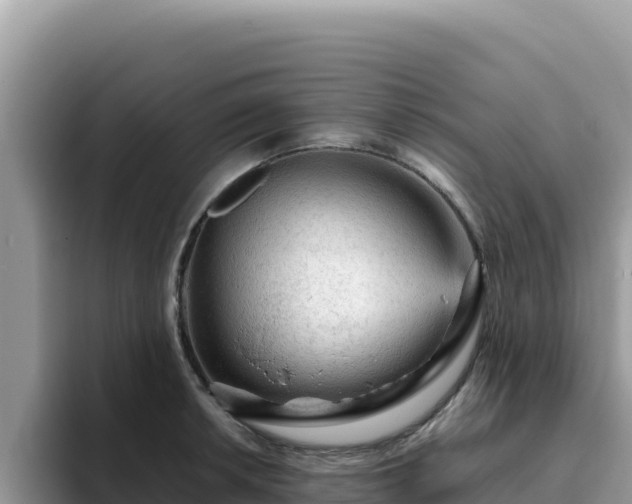 X0000093431042200710191022