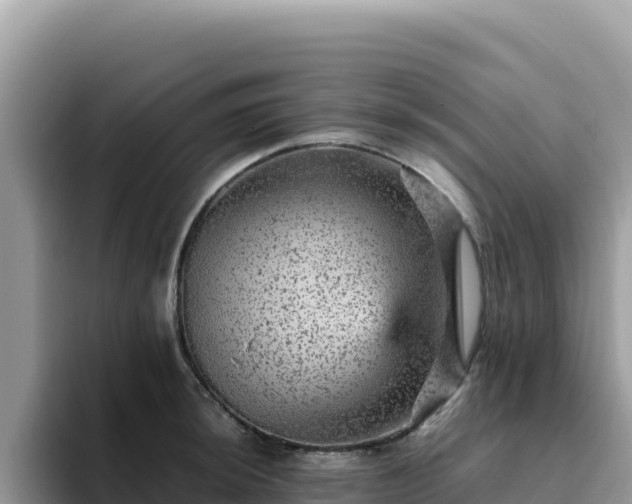 X0000093431044200710191022