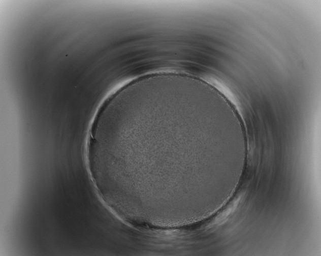 X0000093431045200710191022