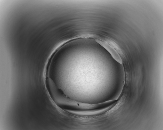 X0000093431046200710191022