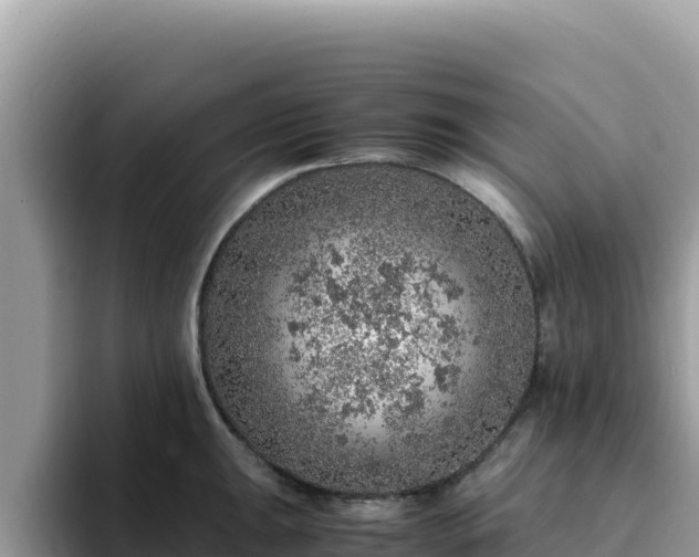 X0000093431047200710191022