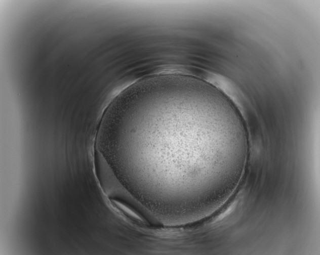 X0000093431049200710191022