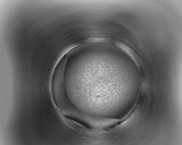 X0000093431050200710191022