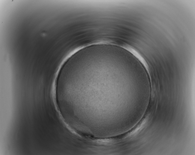 X0000093431053200710191022