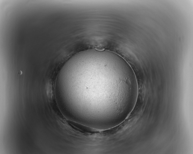 X0000093431058200710191022