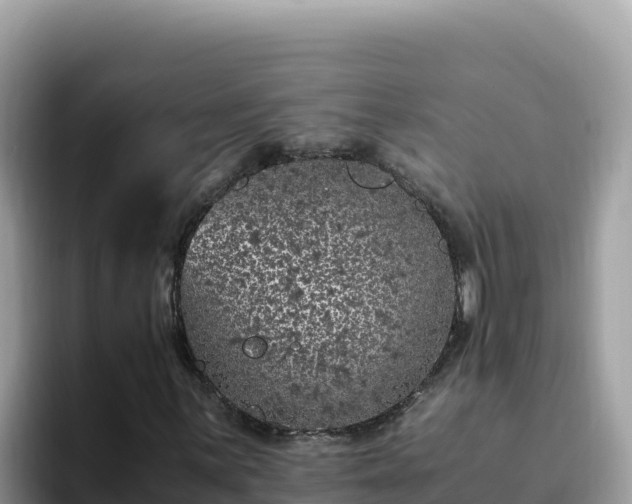 X0000093431059200710191022