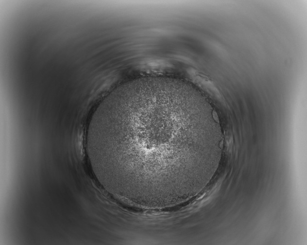 X0000093431060200710191022