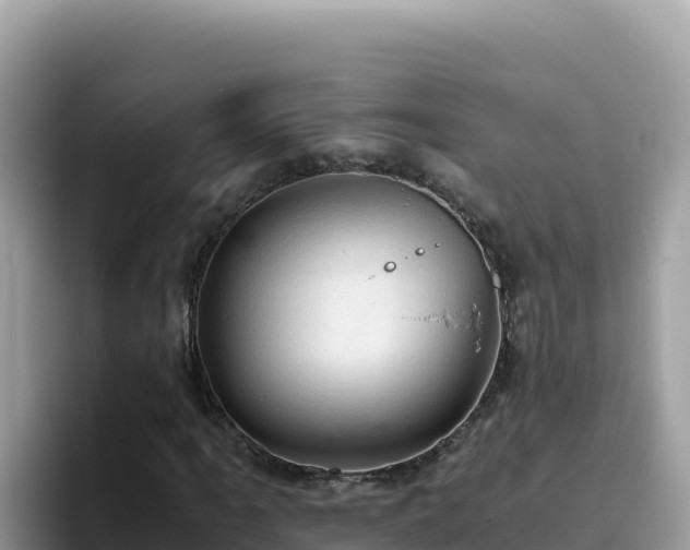 X0000093431061200710191022