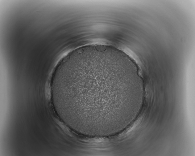 X0000093431067200710191022