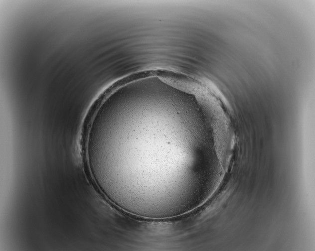X0000093431068200710191022
