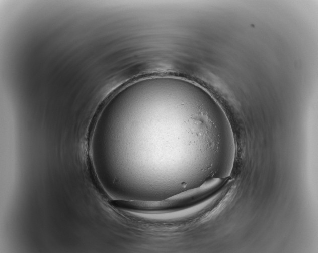 X0000093431073200710191022