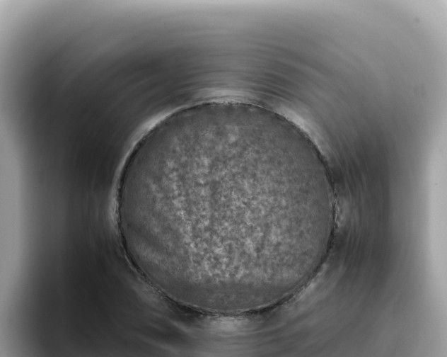 X0000093431074200710191022