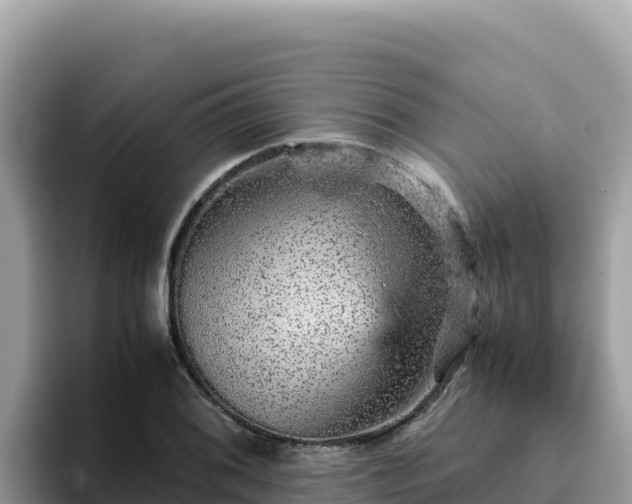 X0000093431076200710191022