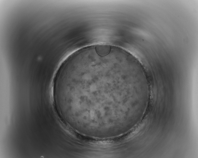 X0000093431078200710191022