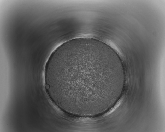 X0000093431079200710191022