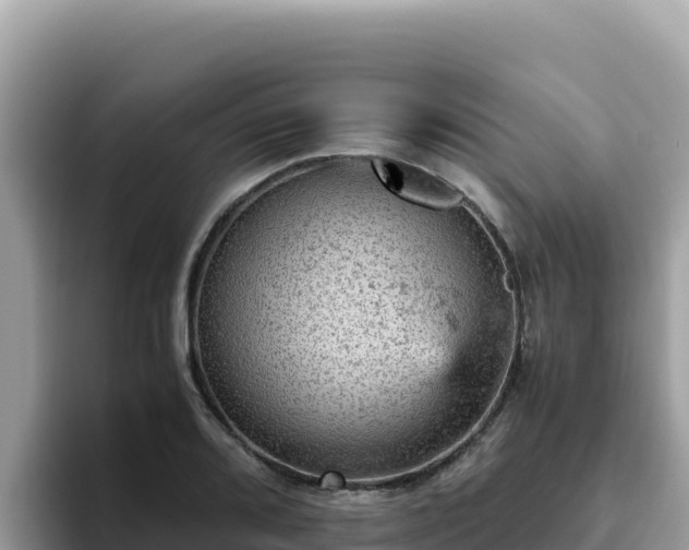 X0000093431080200710191022