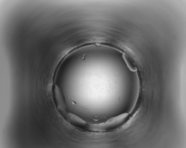 X0000093431081200710191021