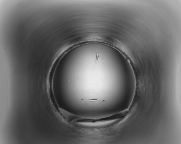 X0000093431082200710191021