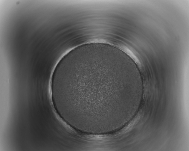 X0000093431084200710191021