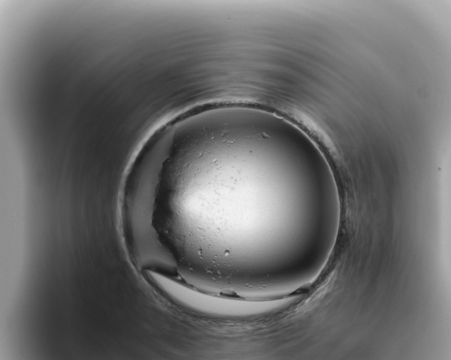 X0000093431085200710191021