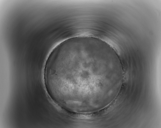 X0000093431086200710191021
