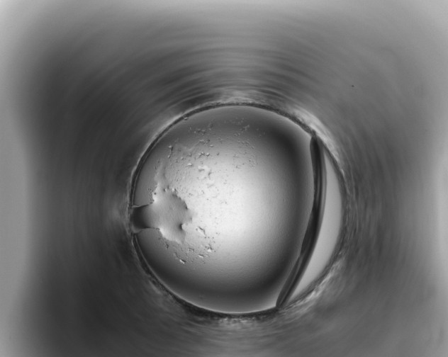 X0000093431089200710191021