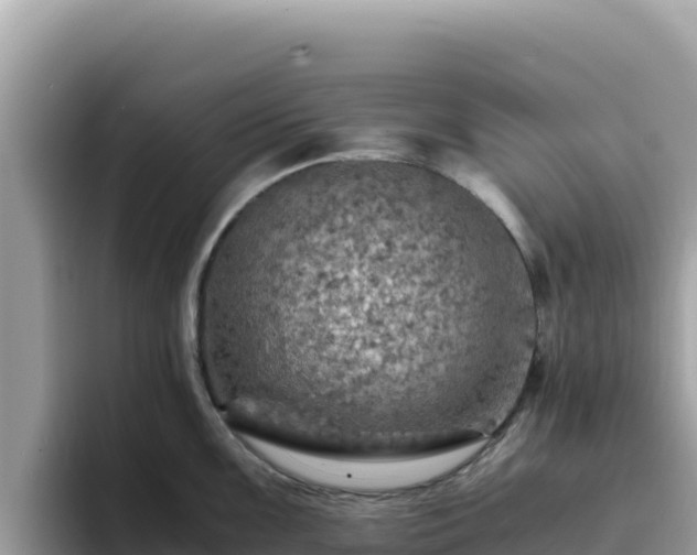 X0000093431099200710191021