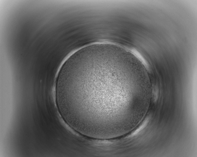 X0000093431100200710191021
