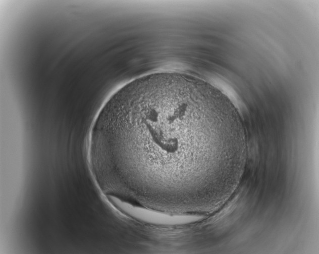 X0000093431103200710191021