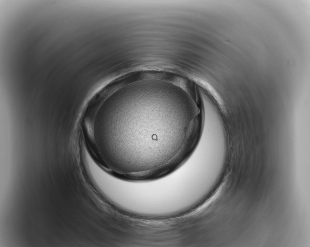X0000093431114200710191021