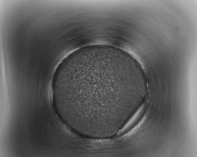 X0000093431117200710191021