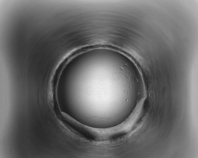 X0000093431118200710191021