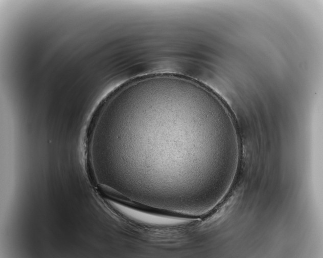 X0000093431119200710191021