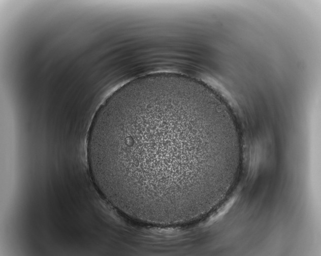 X0000093431121200710191021