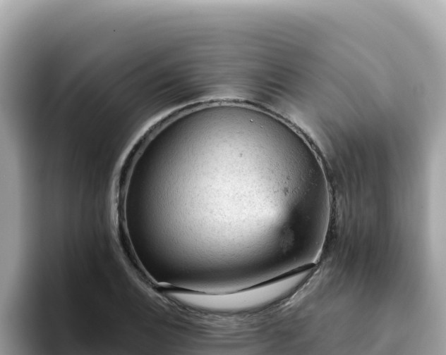 X0000093431124200710191021