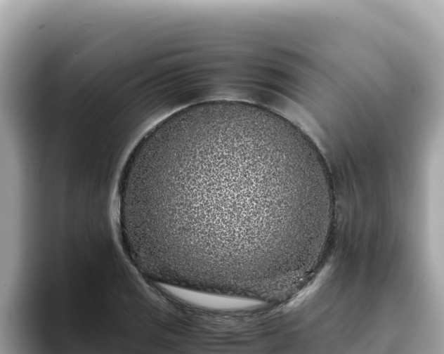 X0000093431125200710191021