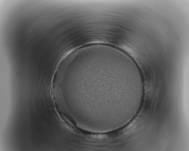 X0000093431129200710191021