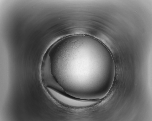 X0000093431134200710191021