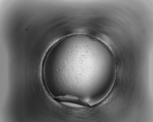 X0000093431135200710191021