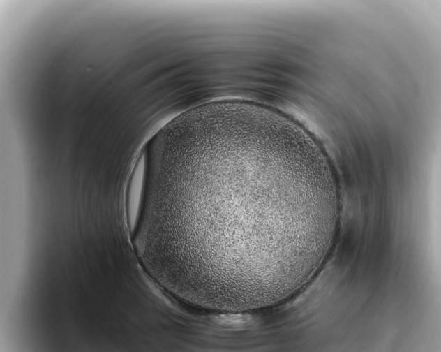 X0000093431137200710191021