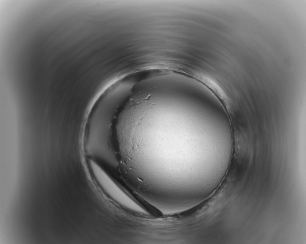 X0000093431138200710191021