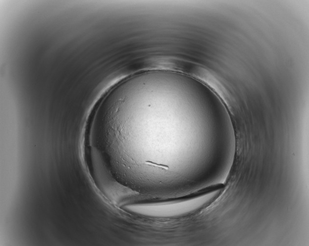 X0000093431139200710191021